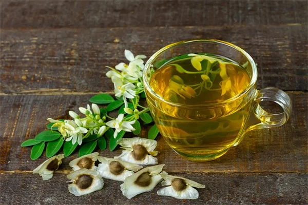 秋の芝生の種まき成功させるコツ：プロが教える5つのポイント