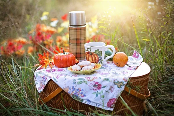トマトの収穫時期、間違ってない？藤上成熟の誤解と科学的真実