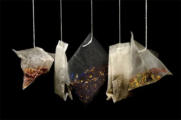 5つの簡単ステップで作れる認証野生生物生息地の作り方