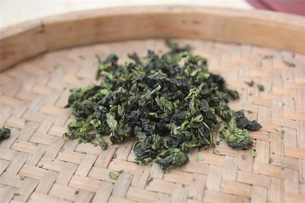 夏にほうれん草を育てる？驚きの耐熱性品種と実践コツ